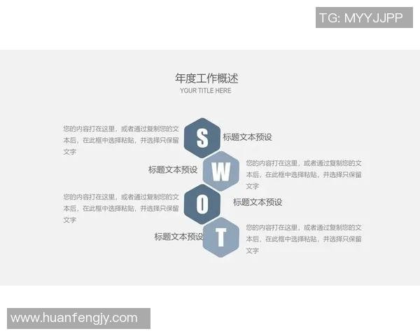 2017年与岚的播出时间对比分析及其影响探讨